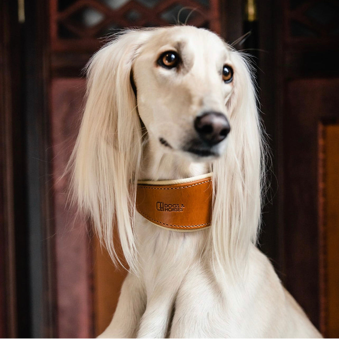 Experience Matters. Credentials Too.