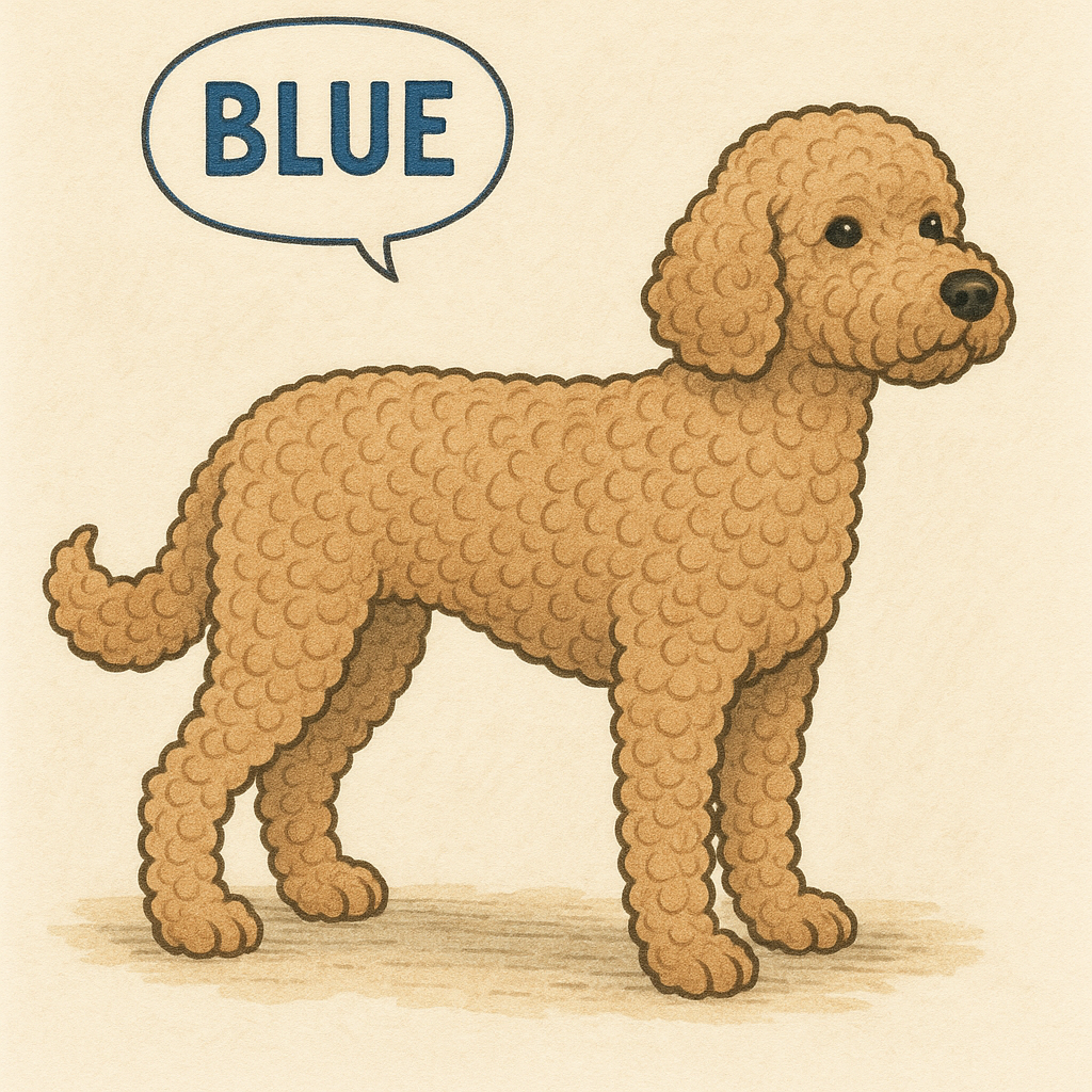 Dog Grooming Coat Lengths - With Illustrations!
