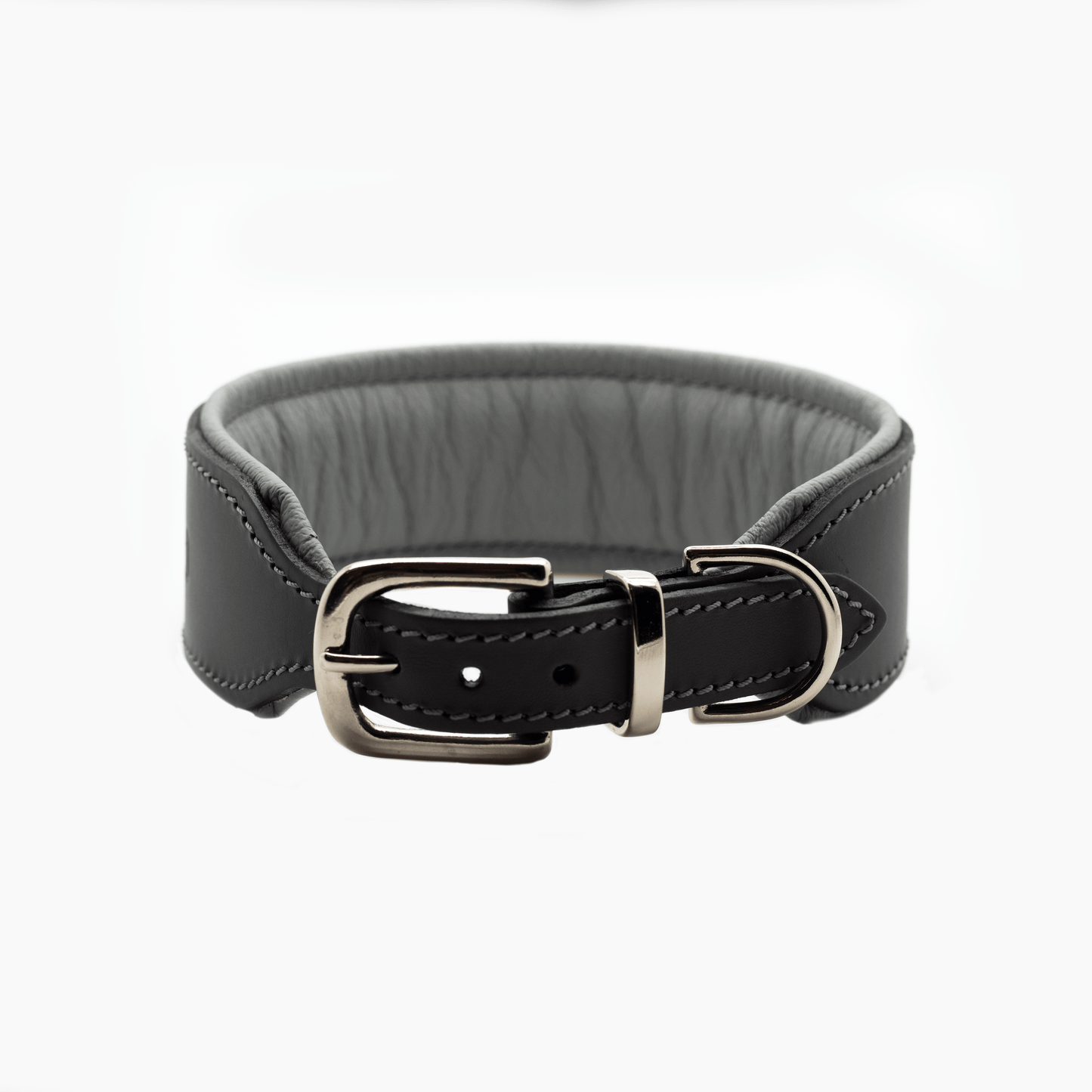 D&H Big Dog Padded leather dog Collar