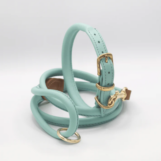Rolled Soft Leather Dog Collar Aqua