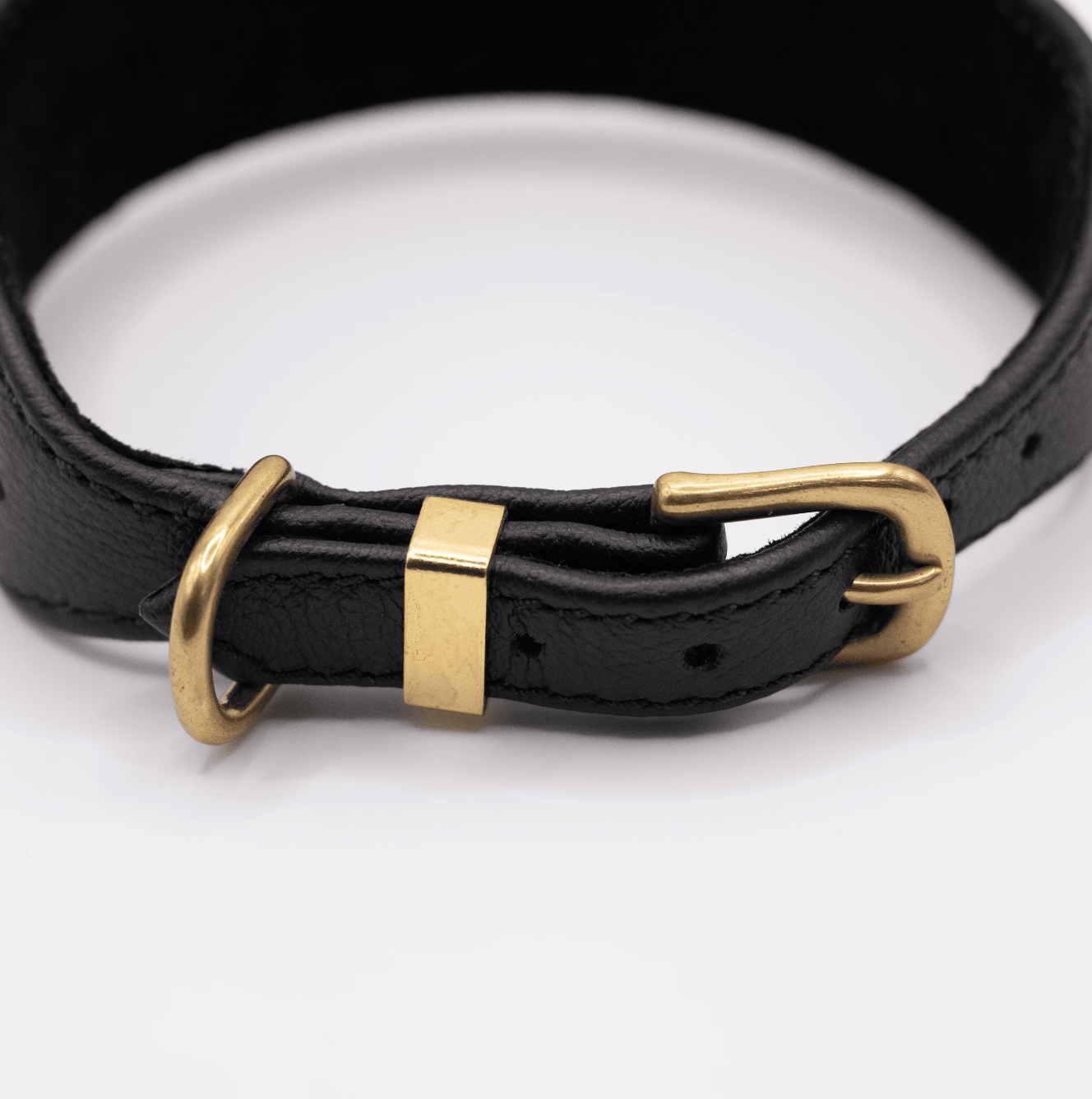 D&H Horizon Hound Collar Black