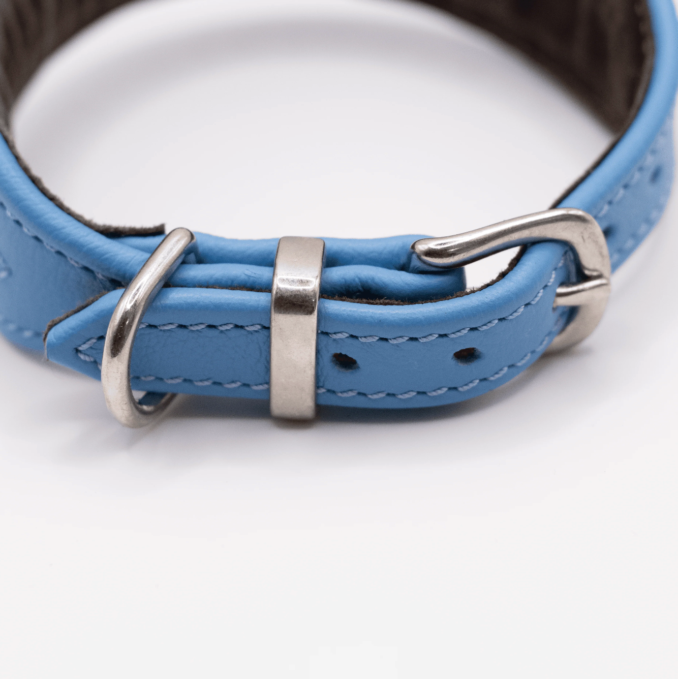 D&H Horizon Hound Collar Blue