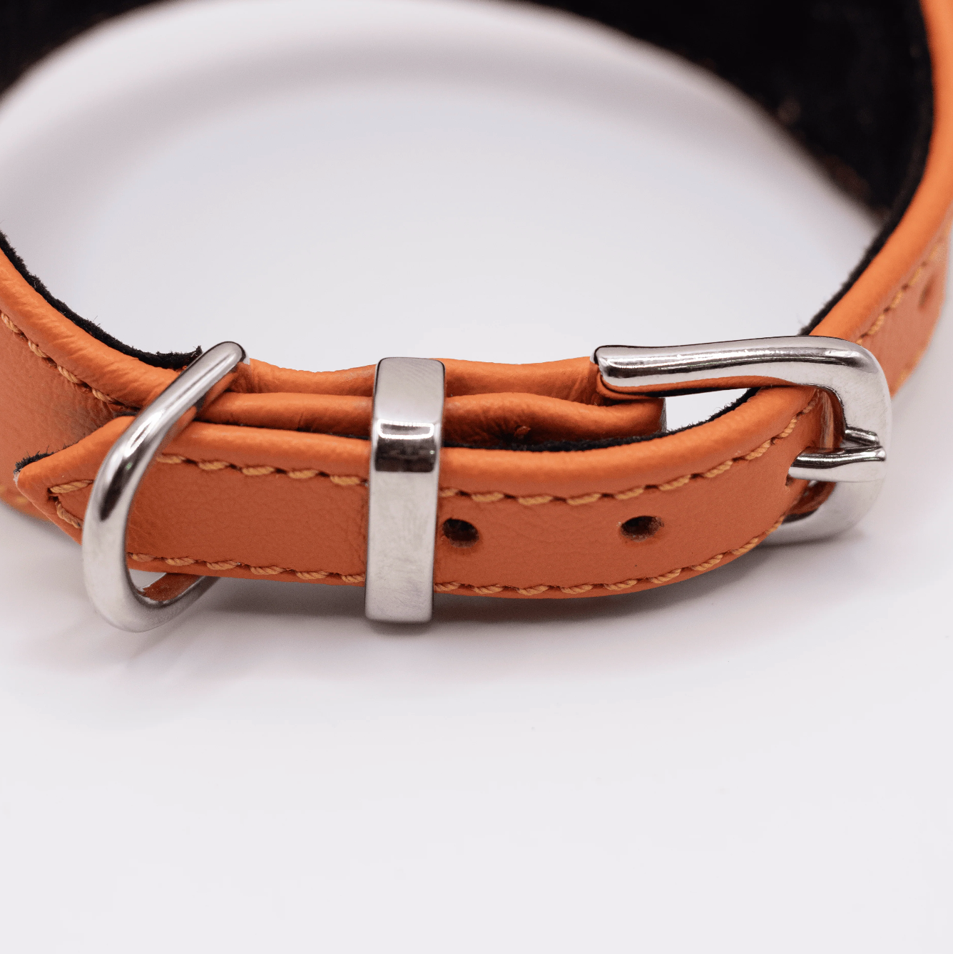 D&H Horizon Hound Collar Orange