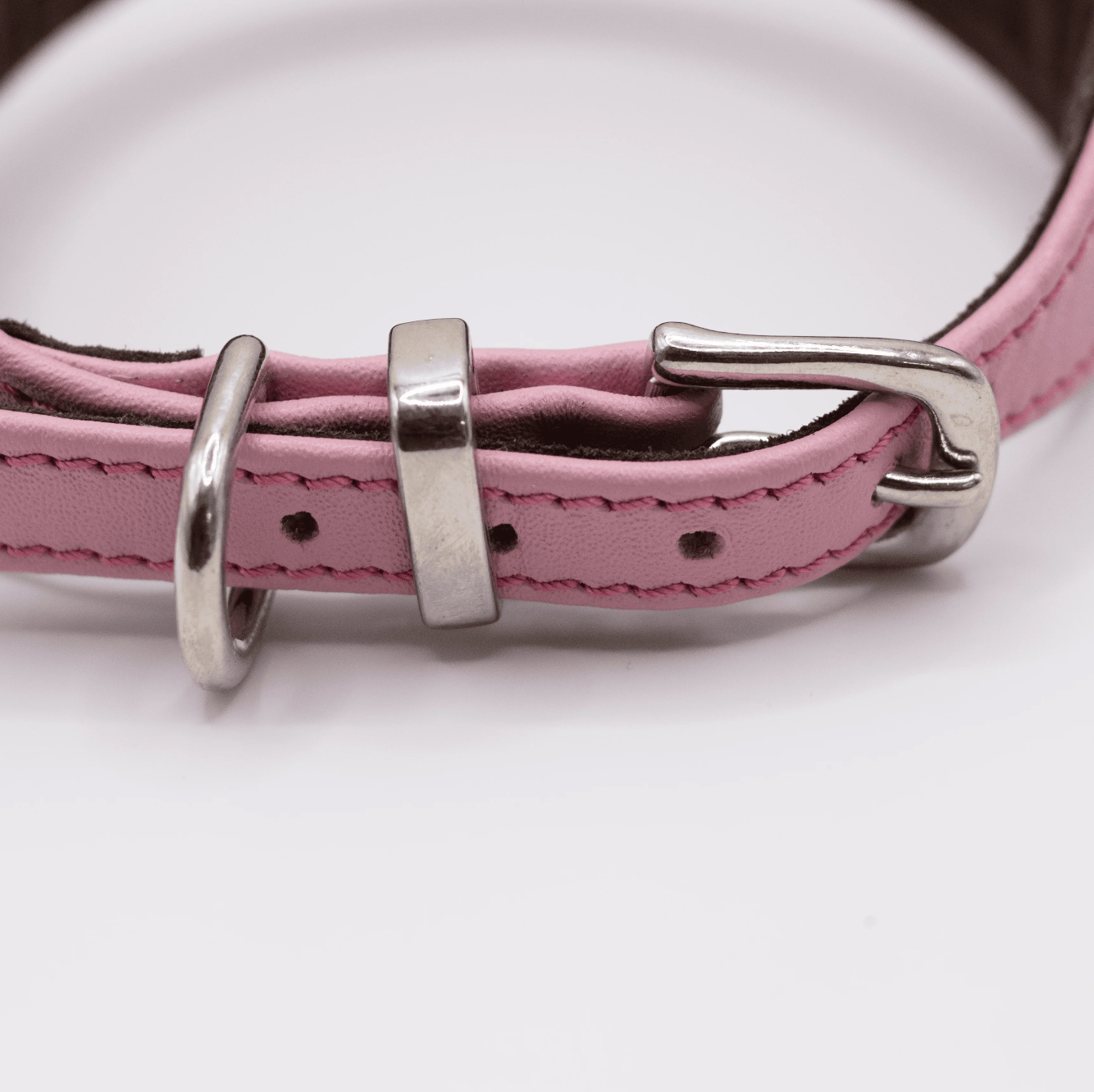D&H Horizon Hound Collar Pink