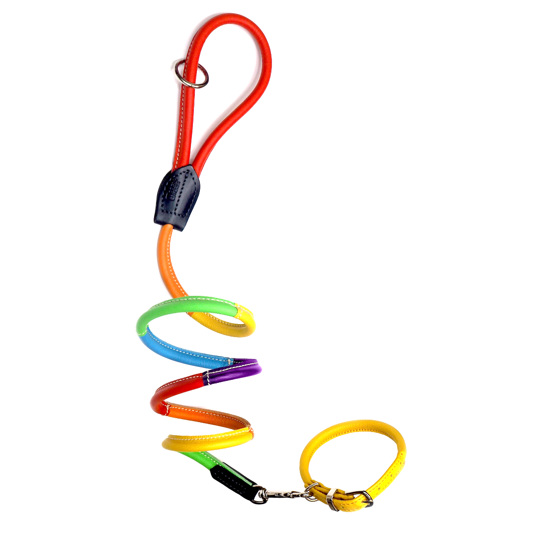 D&H PRIDE Rolled Leather Lead