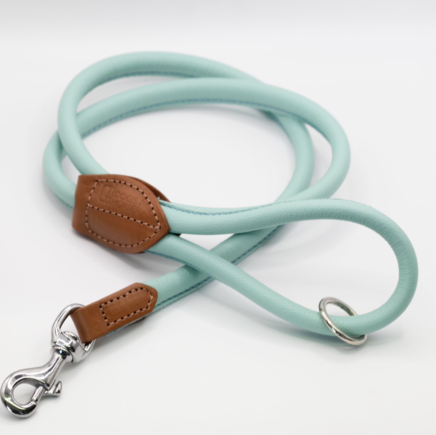 Rolled Soft Leather Dog Lead Aqua
