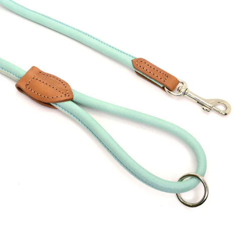 Rolled Soft Leather Dog Lead Aqua