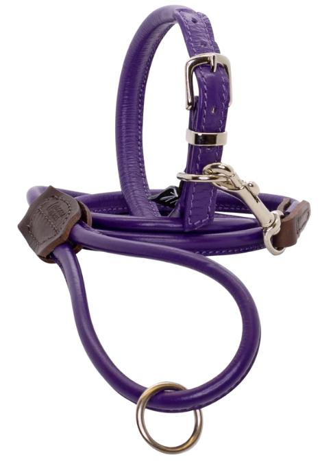 Rolled Soft Leather Dog Collar Purple