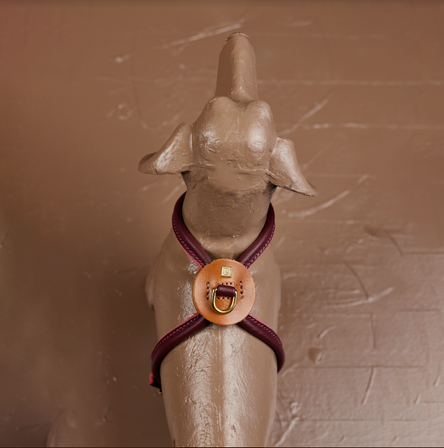 D&H Rolled Leather Harness for Miniature Dachshunds