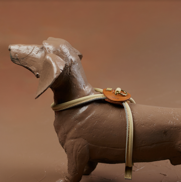 D&H Rolled Leather Harness for Miniature Dachshunds