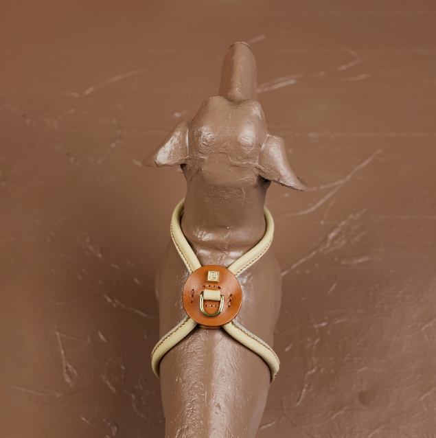 D&H Rolled Leather Harness for Miniature Dachshunds