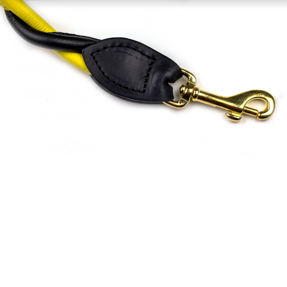 D&H Double Twist Leather Dog Lead