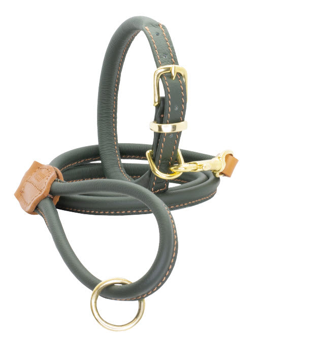 Rolled Soft Leather Dog Collar Racing Green