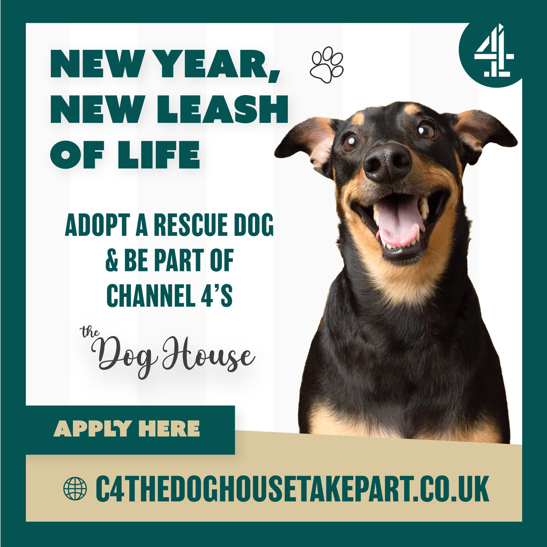 Be a part of Channel 4's The Dog House