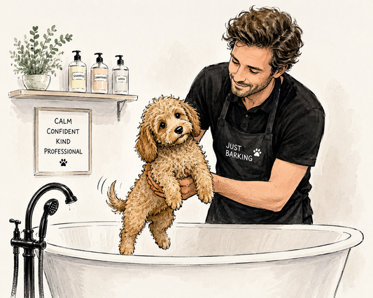 Your Puppy's First Groom. Why Experience Matters.