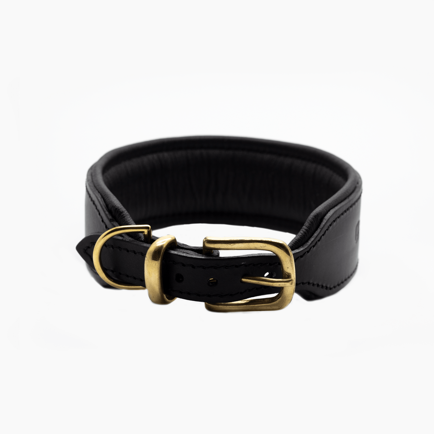 D&H Big Dog Padded leather dog Collar