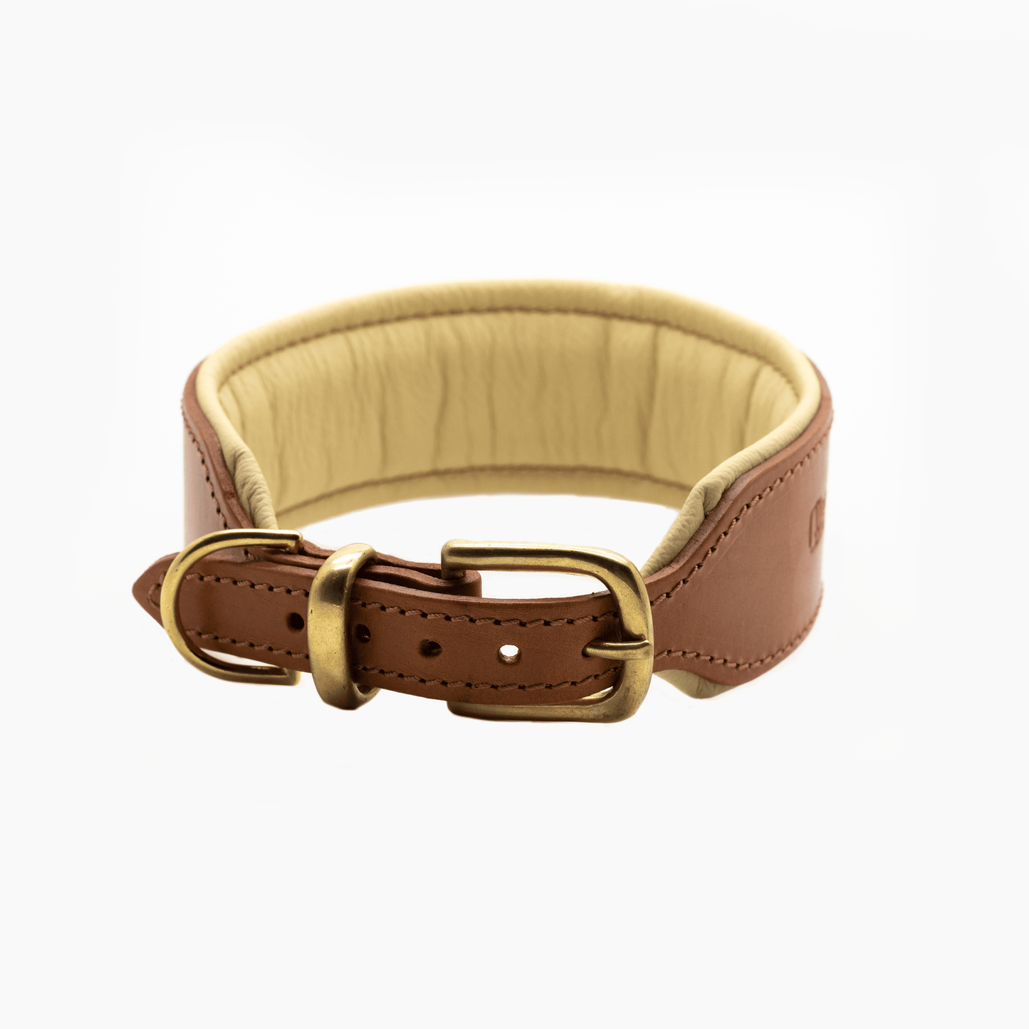 D&H Big Dog Padded leather dog Collar