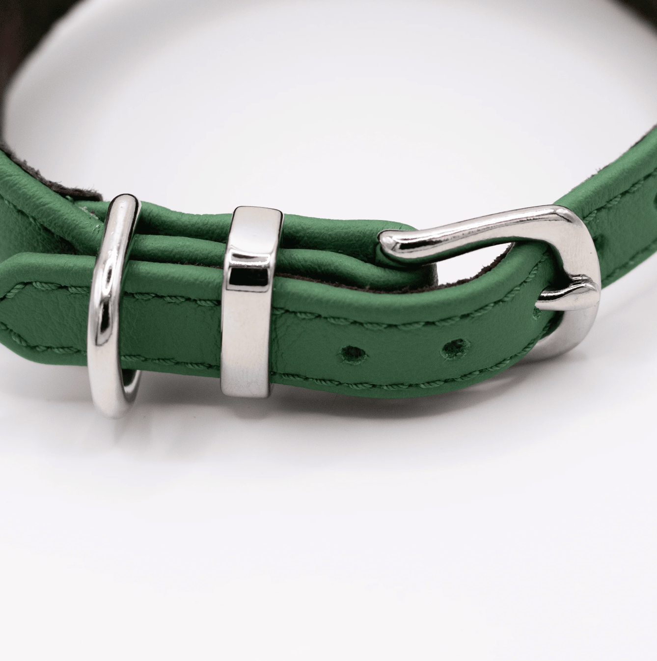 D&H Horizon Hound Collar Clover