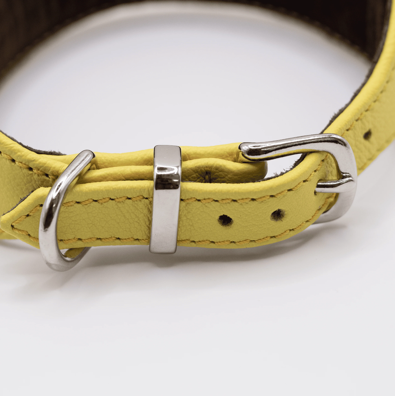 D&H Horizon Hound Collar Yellow