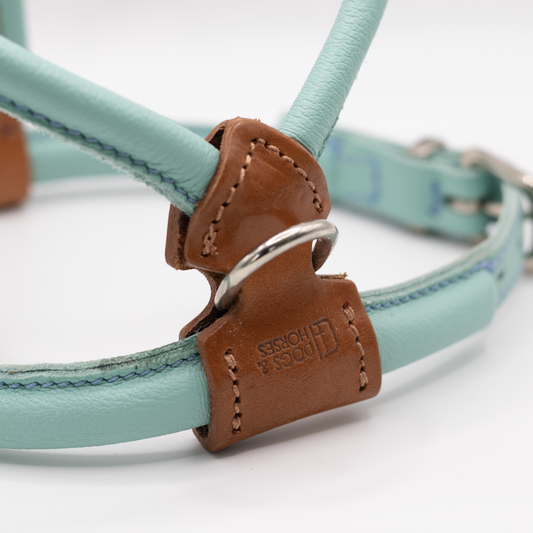 D&H Rolled Leather Dog Harness Aqua