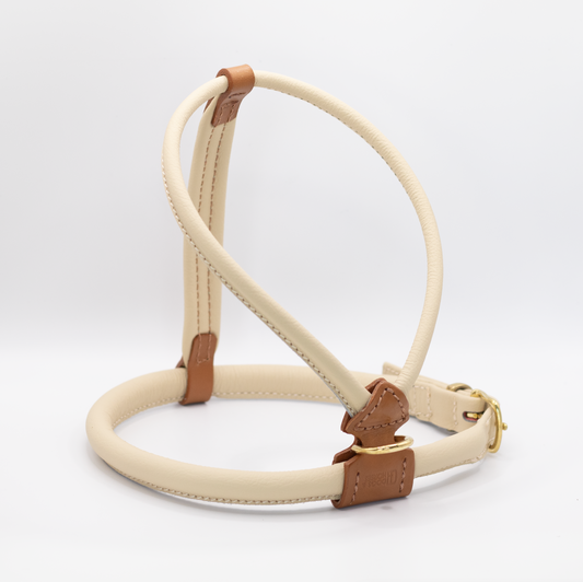 D&H Rolled Leather Dog Harness Cream
