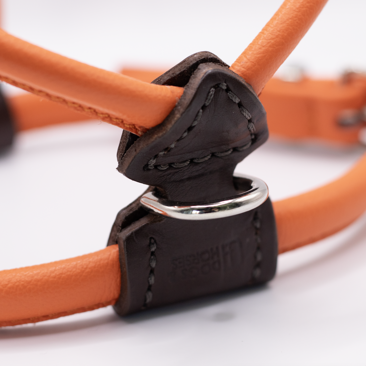 D&H Rolled Leather Dog Harness Orange
