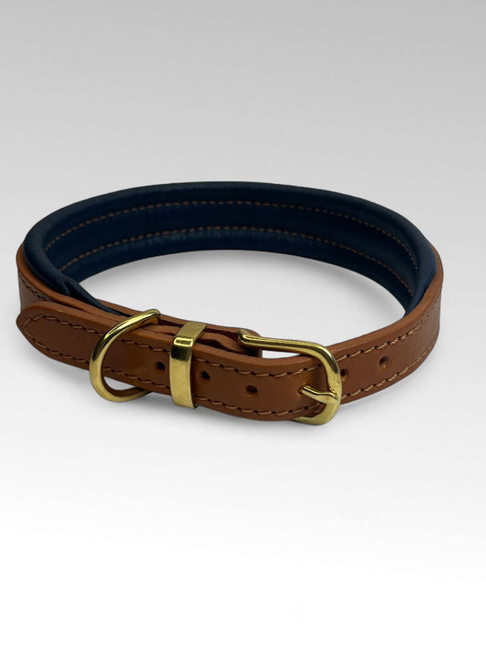 Padded Leather Dog Collar and Rolled Lead Set Navy