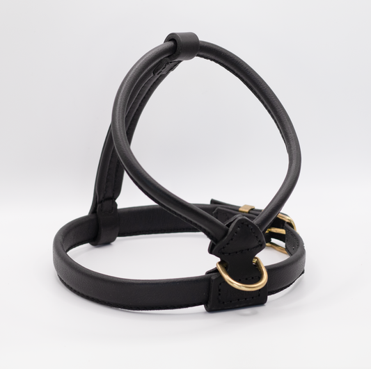 French Bulldog Leather Harness Black
