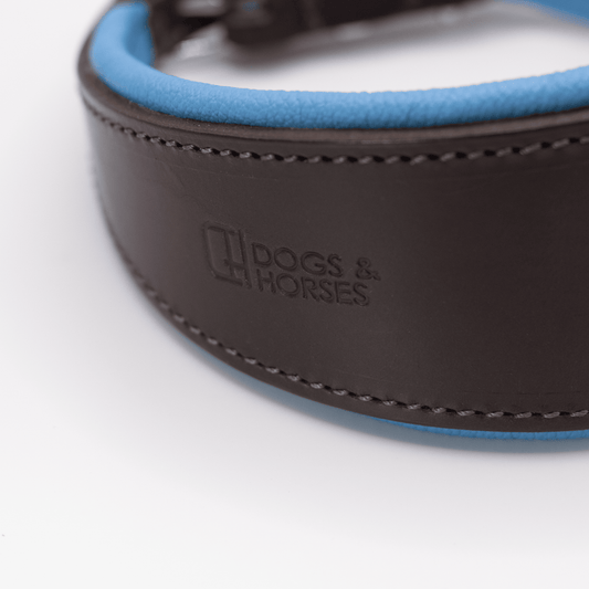 D&H Padded Leather Hound Collar Brown and Blue