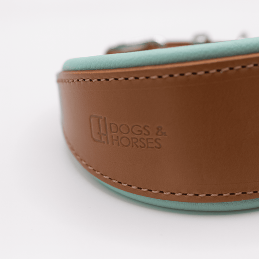 D&H Padded Leather Hound Collar Tan and Aqua
