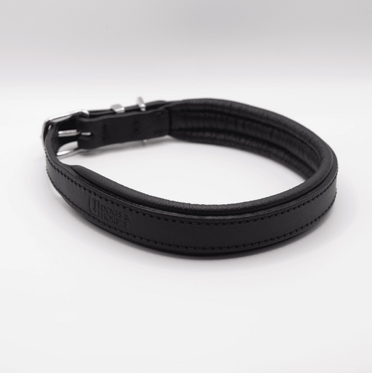 Padded Leather Dog Collar Black
