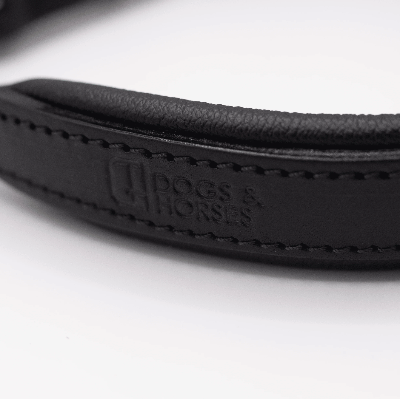 Padded Leather Dog Collar Black