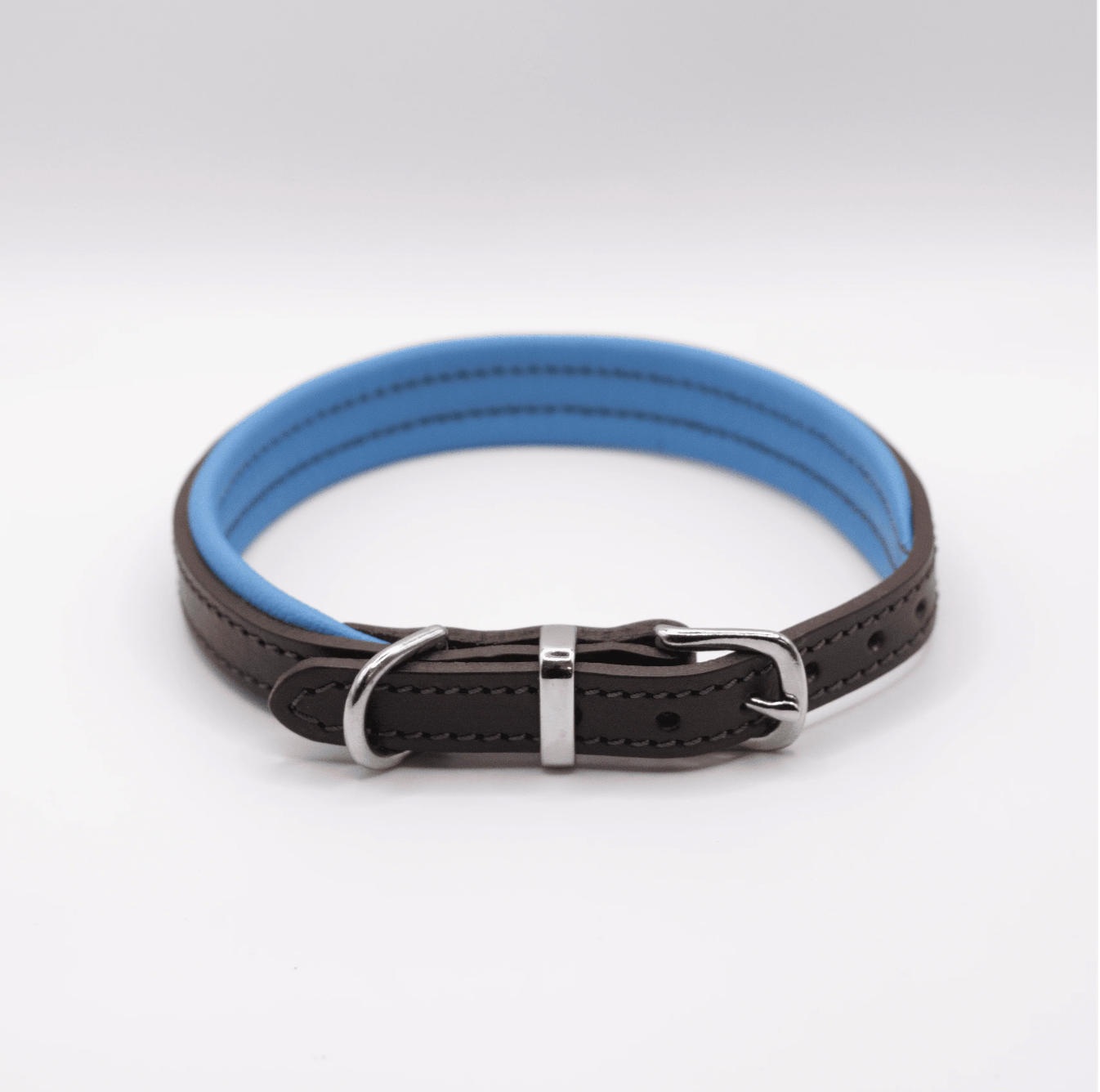 Padded Leather Dog Collar Brown and Blue