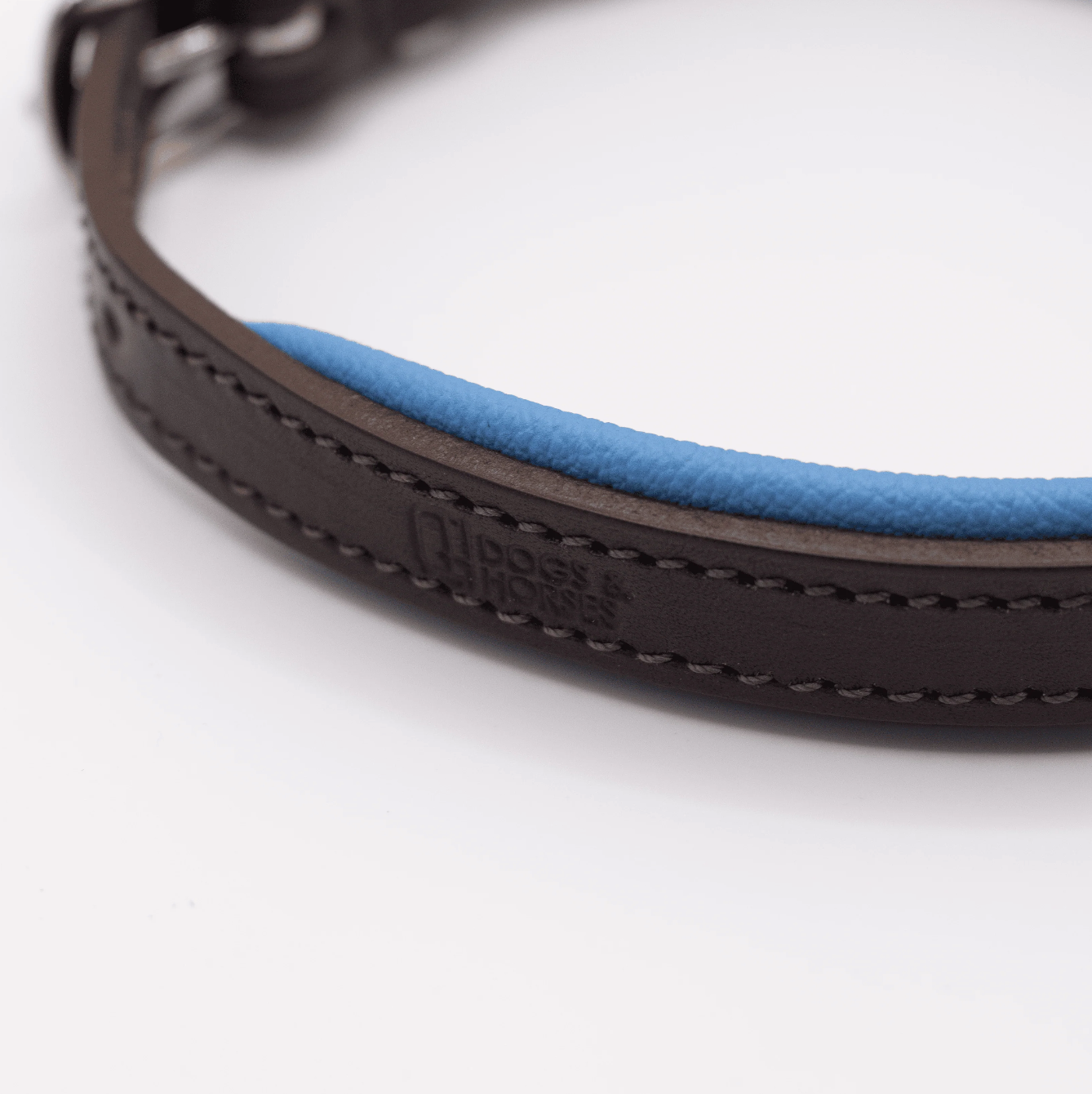 Padded Leather Dog Collar Brown and Blue