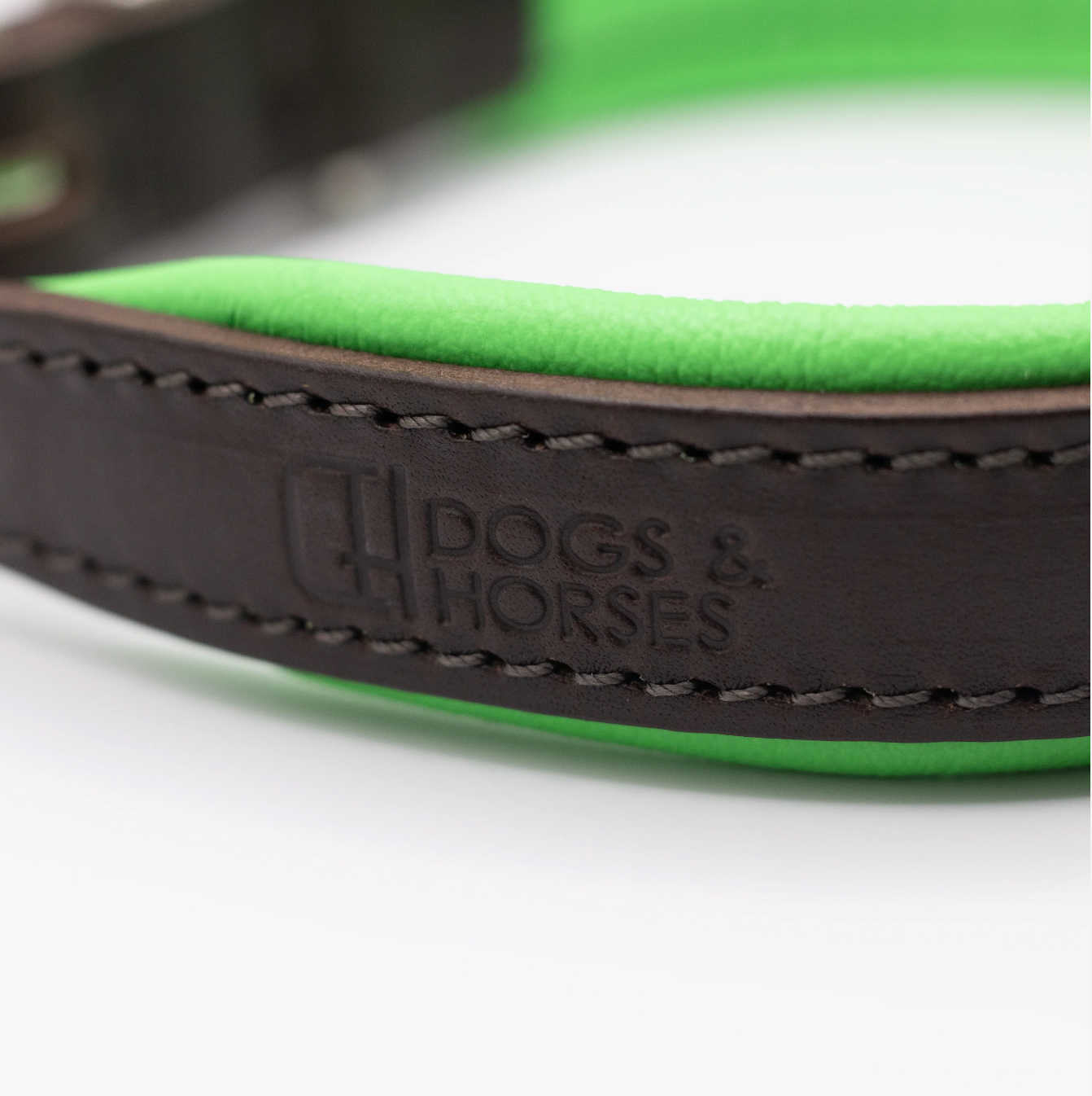 Padded Leather Dog Collar Brown and Green
