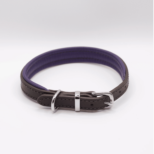 Padded Leather Dog Collar Brown and Purple