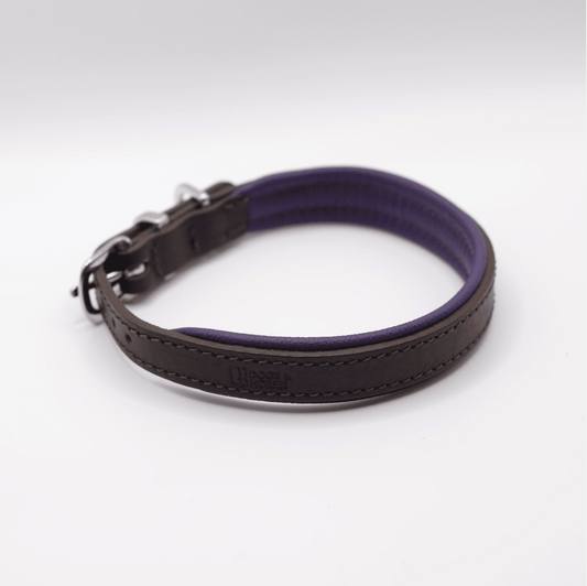 Padded Leather Dog Collar Brown and Purple
