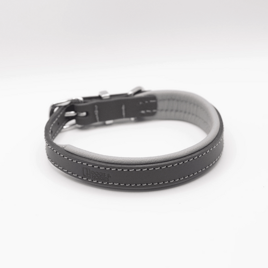 Padded Leather Dog Collar Charcoal and Grey