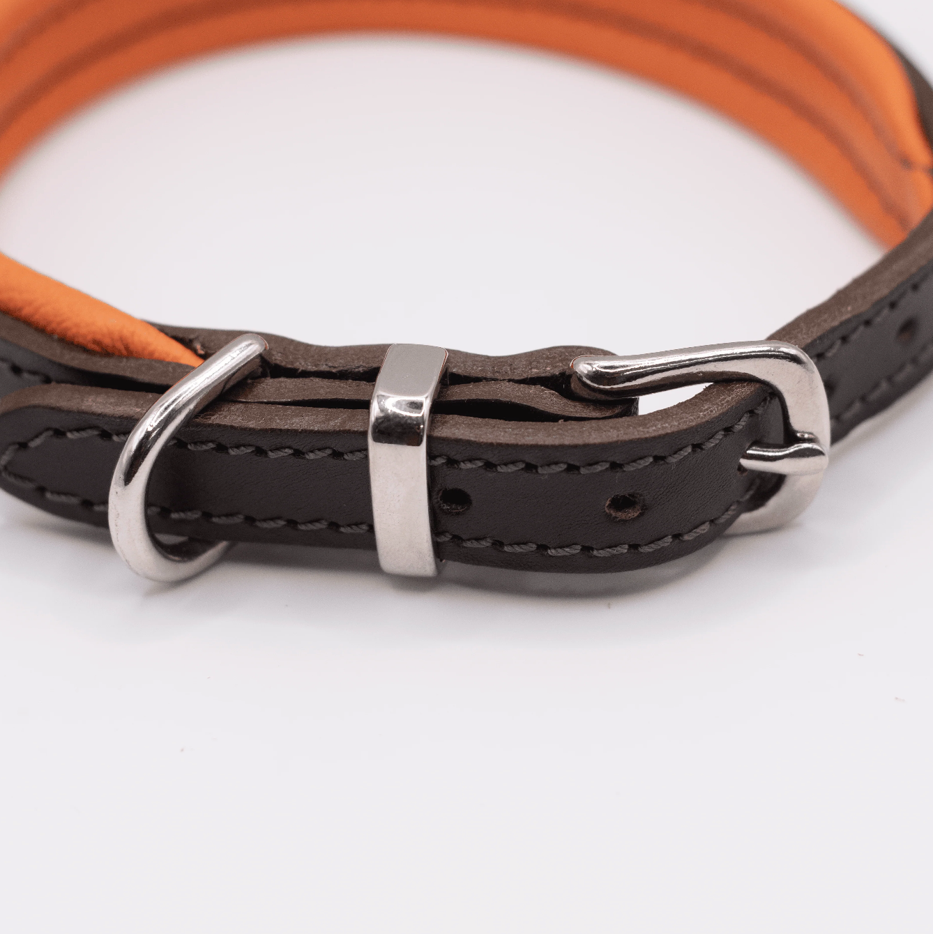 Padded Leather Dog Collar Brown and Orange
