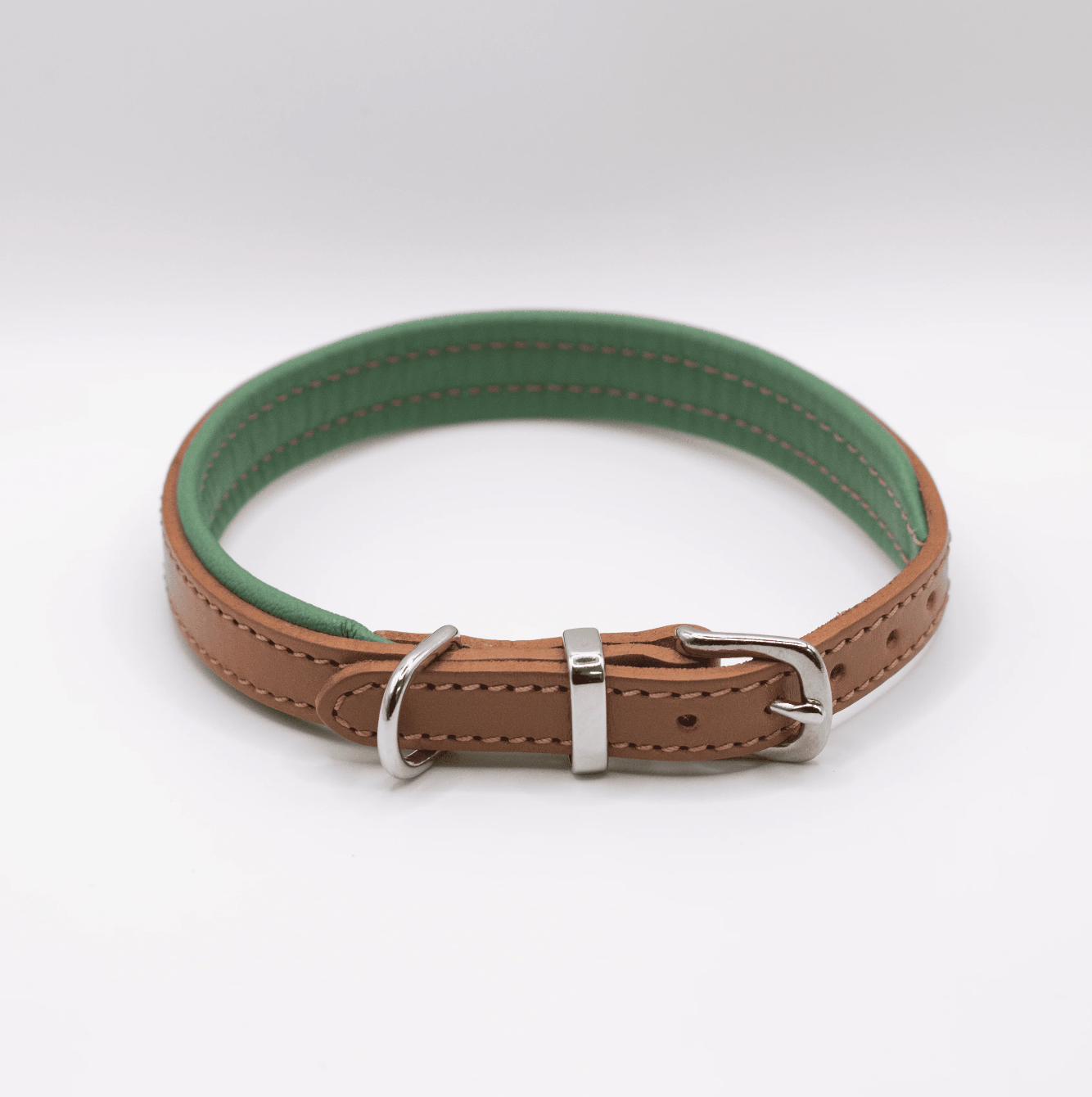 Padded Leather Dog Collar Tan and Clover