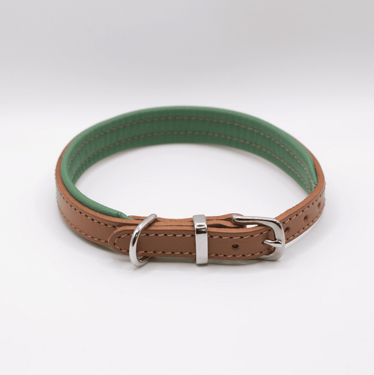 Padded Leather Dog Collar Tan and Clover