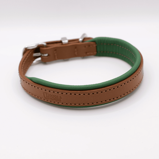 Padded Leather Dog Collar Tan and Clover