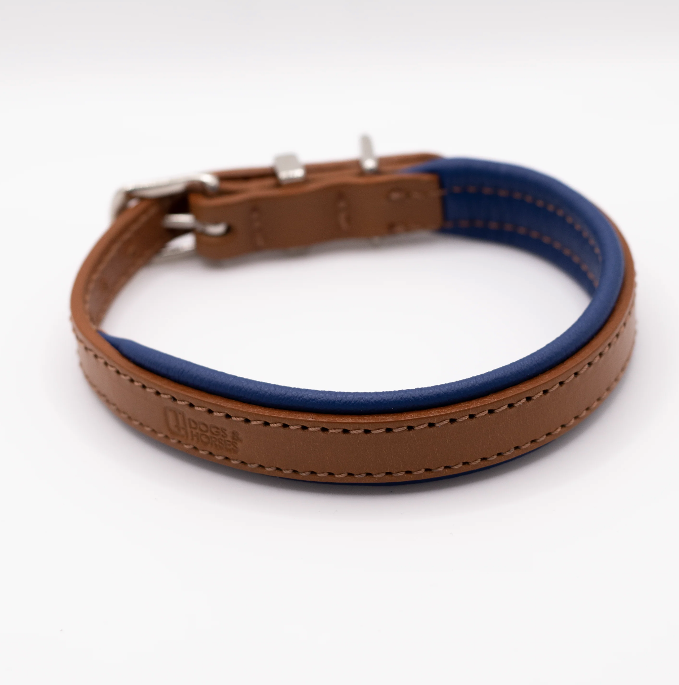 Padded Leather Dog Collar Tan and Electric Blue