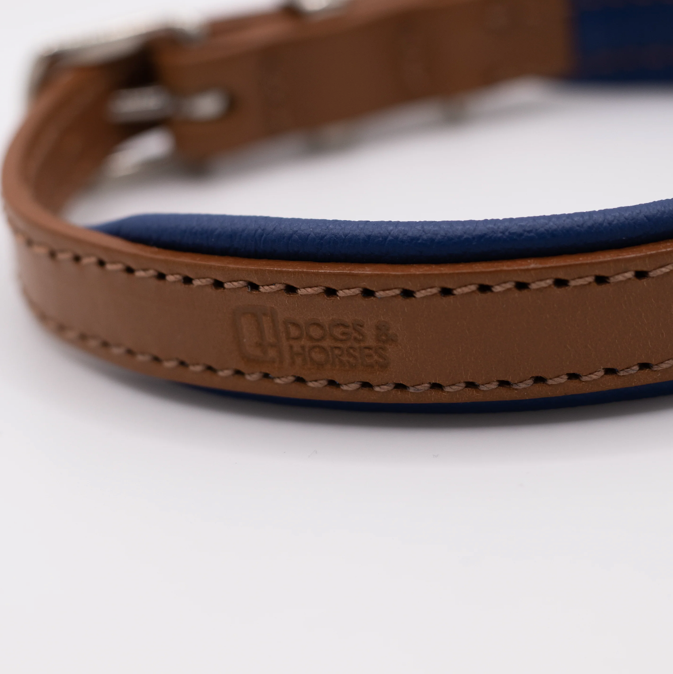 Padded Leather Dog Collar Tan and Electric Blue