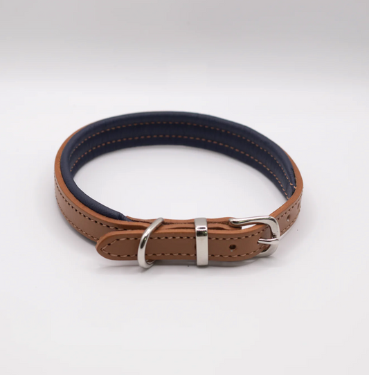 Padded Leather Dog Collar Tan and Navy