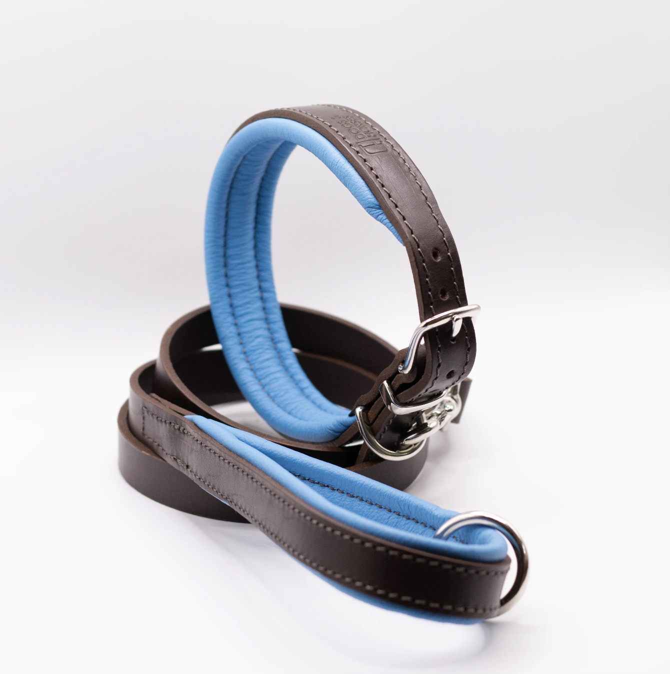 Padded Leather Dog Collar Brown and Blue