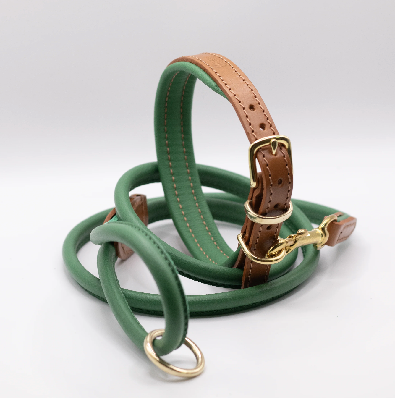 Padded Leather Dog Collar Tan and Clover