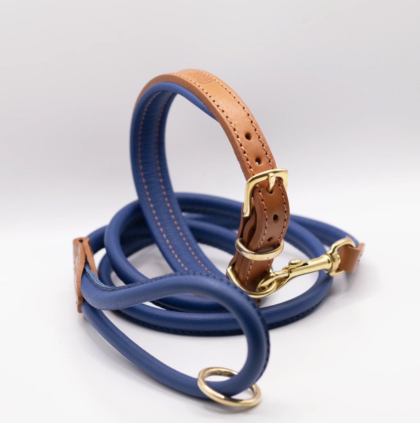 Padded Leather Dog Collar Tan and Electric Blue