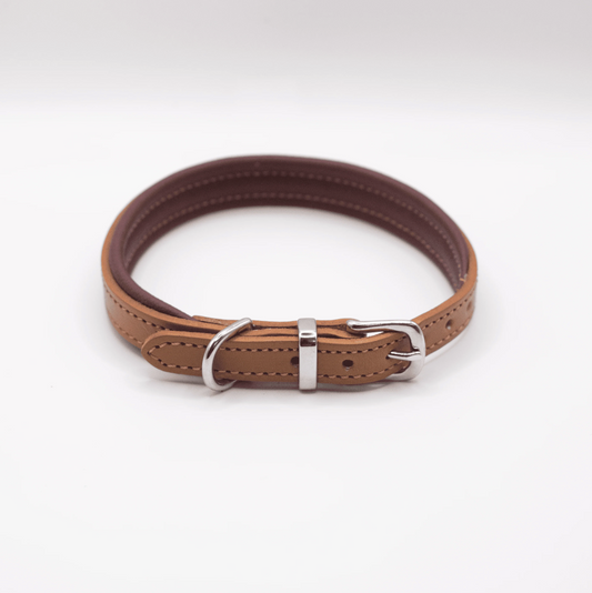 Padded Leather Dog Collar and Rolled Lead Set Merlot
