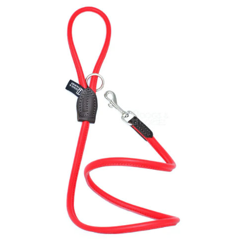 Rolled Soft Leather Dog Lead House Red